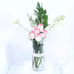 ناعمة